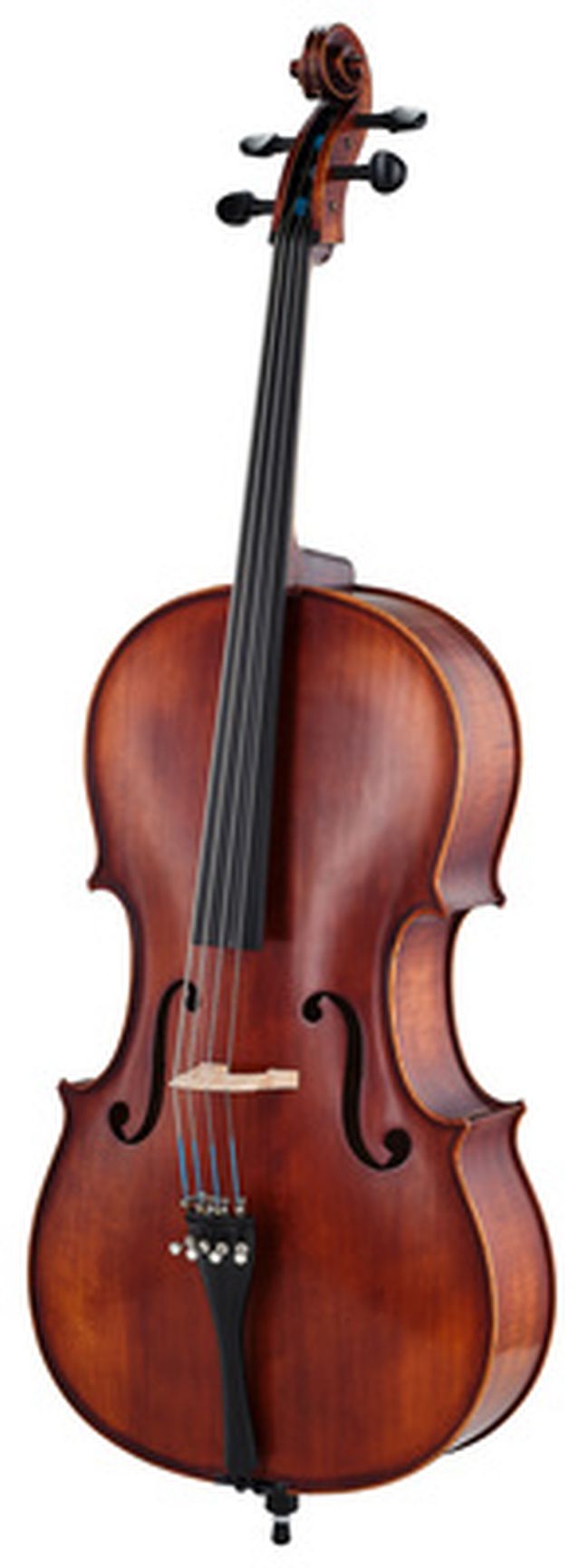 Roth & Junius Orchestra Cello Antiqued Eb
