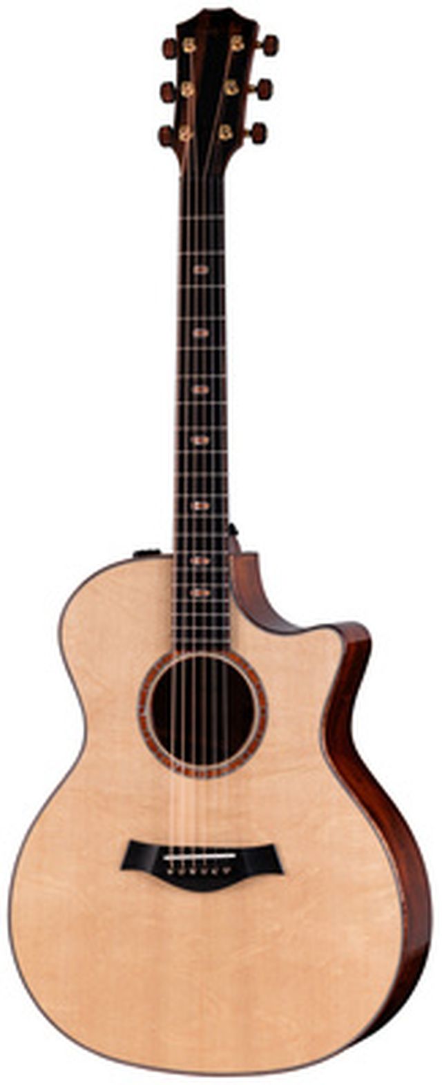 Taylor Custom #36: The Bengal