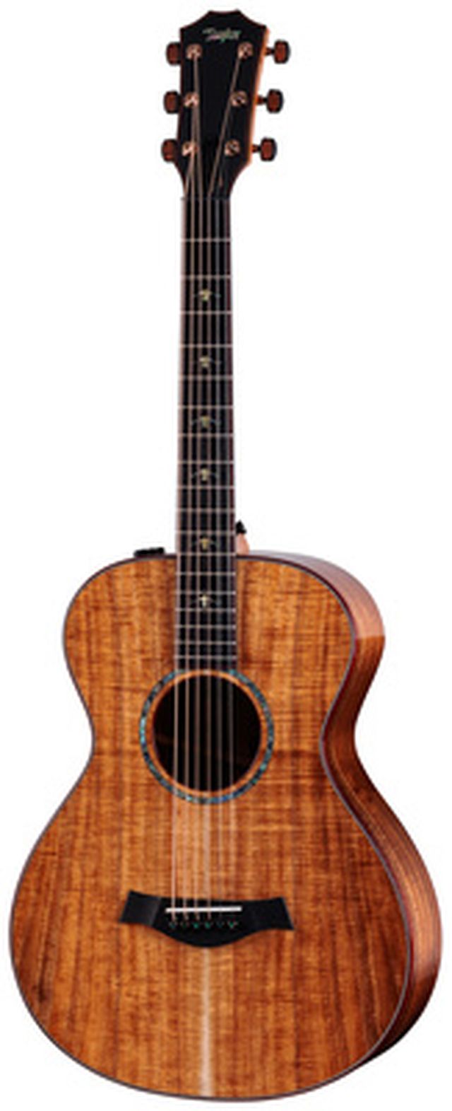 Taylor Custom #40: C22e 12-Fret B5040