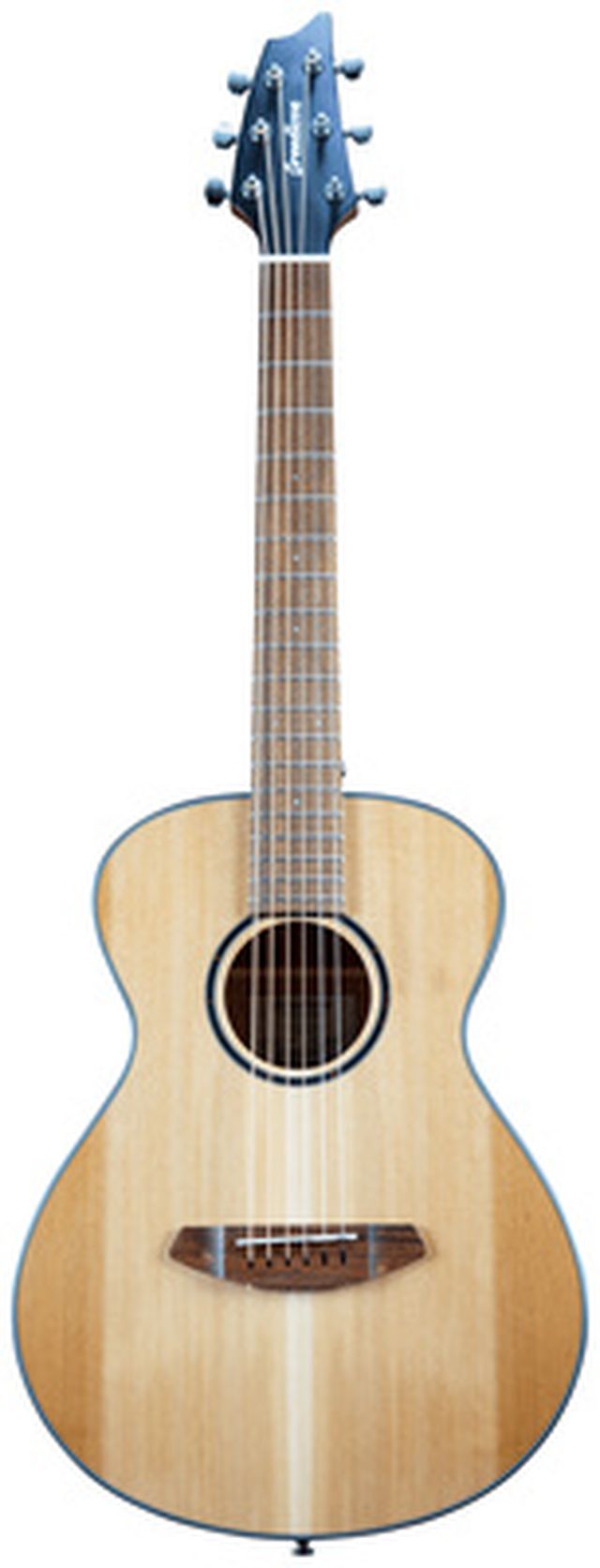 Breedlove Discovery S Companion