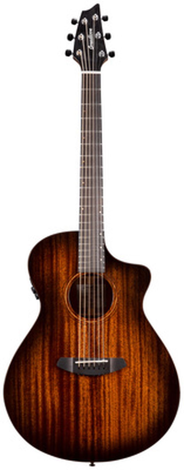 Breedlove Wildwood Pro Concert Suede CE