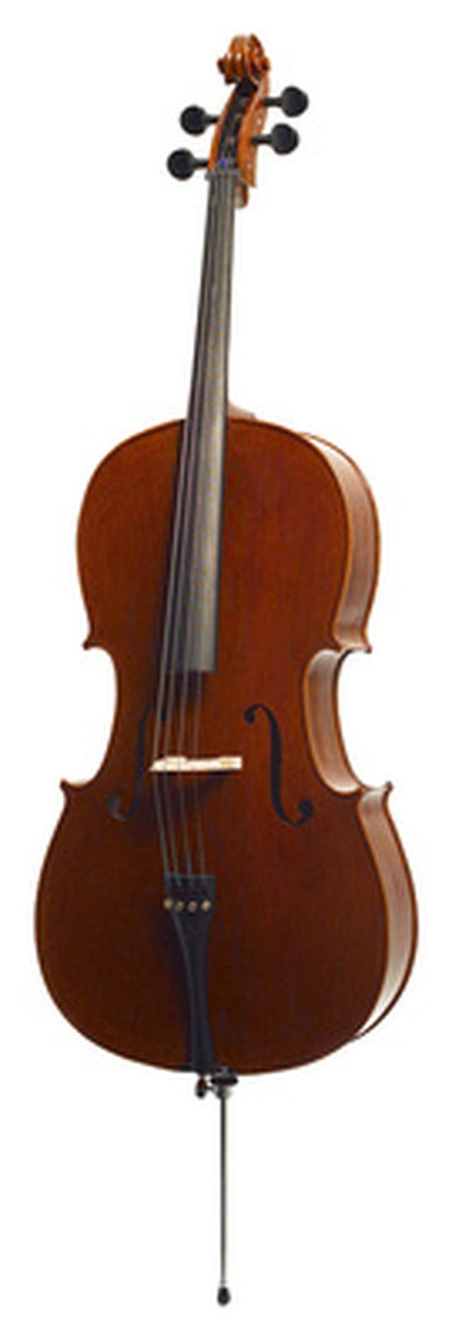 Stentor SR1591 Cello Elysia 3/4