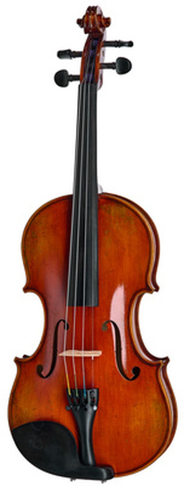 Eastman Albert Nebel Violin VL601G+