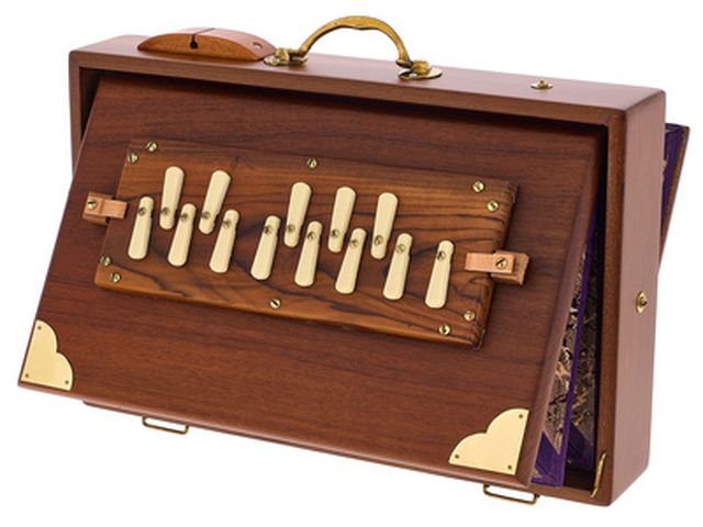 Thomann Nataraj Shruti Solid Teak w.P.