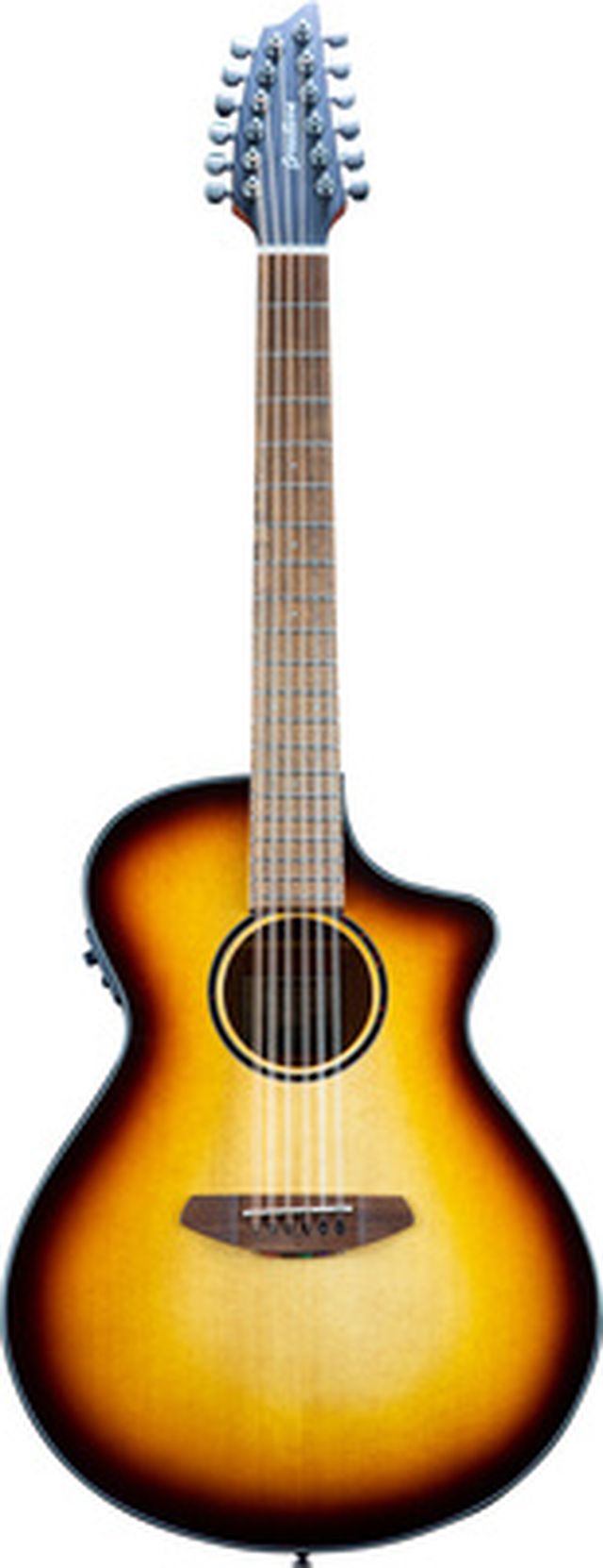 Breedlove Discovery S Conc 12-St CE EB