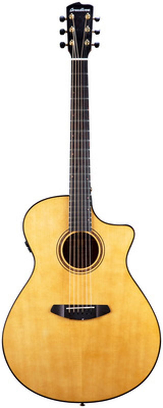 Breedlove Perf Pro Dreadn Conc AT CE