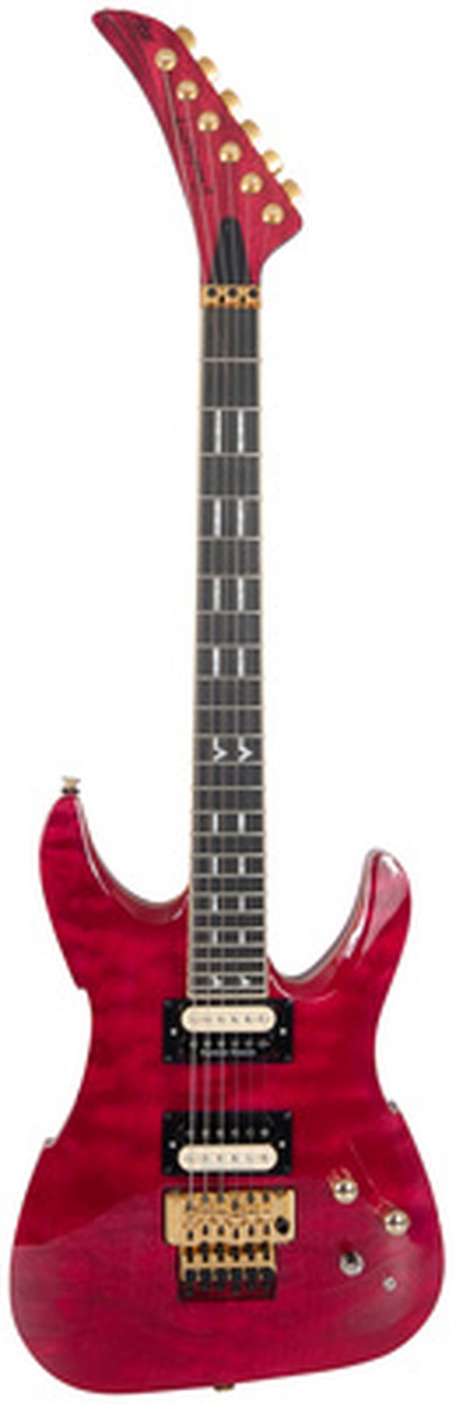 Peavey Adrian Vandenberg PFM