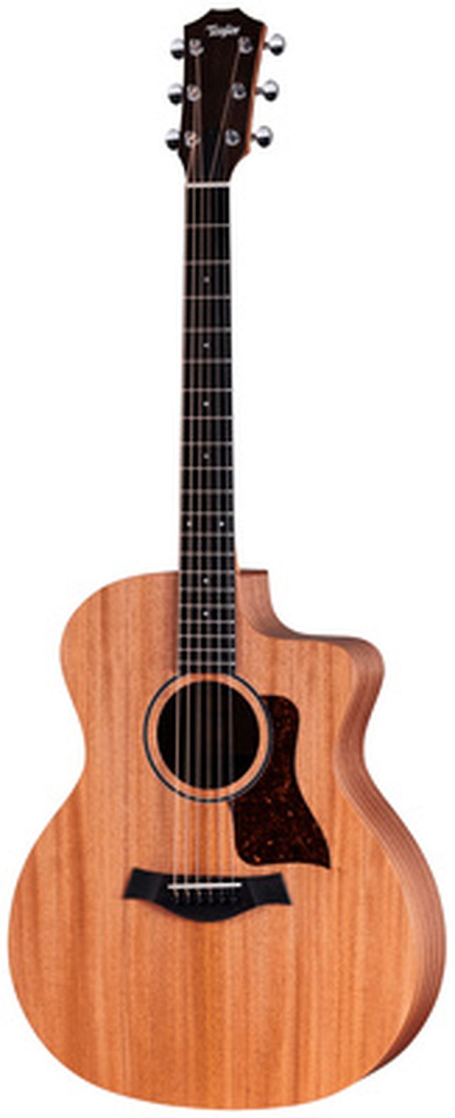 Taylor 24ce