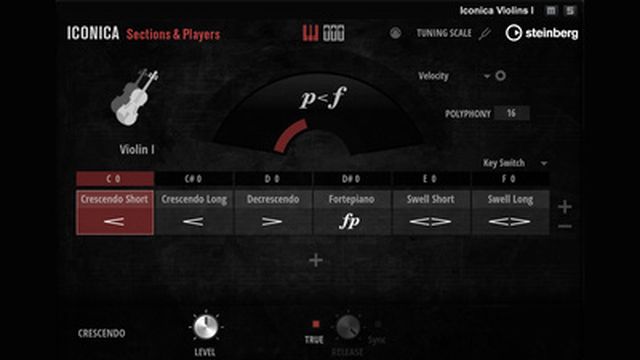 Steinberg Iconica Sections & Players