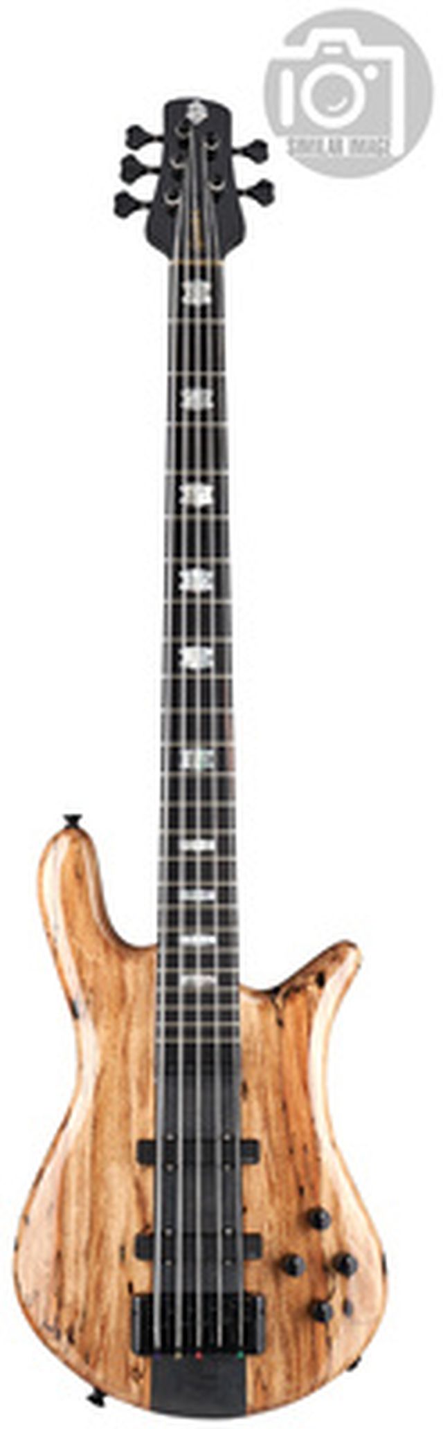 Spector Euro 5 CST Spalted Maple Ltd