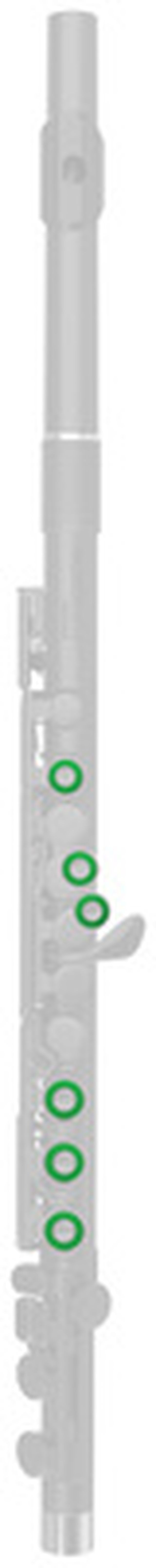 Nuvo Band Plugs for Flute Green