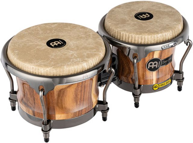 Meinl Artist Diego Gale Bongos
