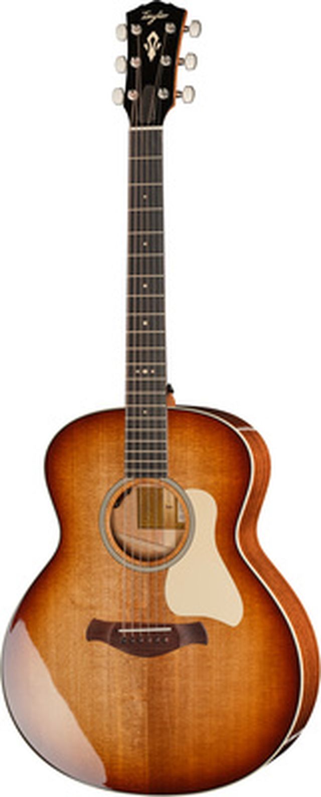 Taylor Gold Label 514e SB Cream