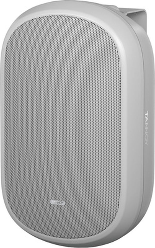 Tannoy Dvs 401-WH