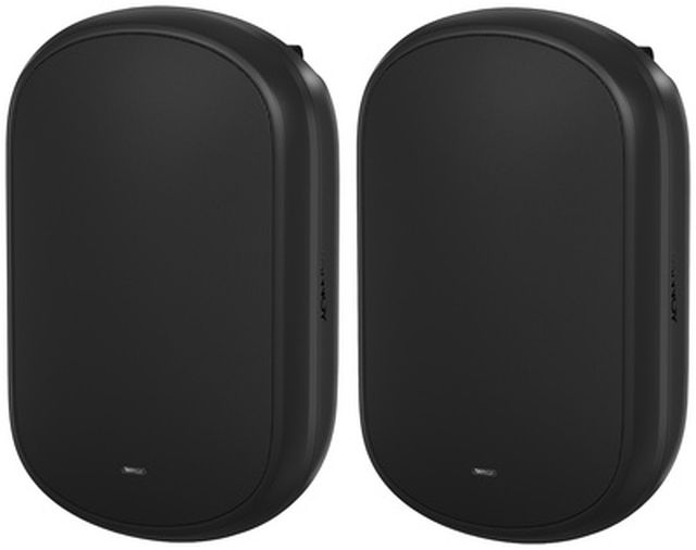 Tannoy Dvs 801