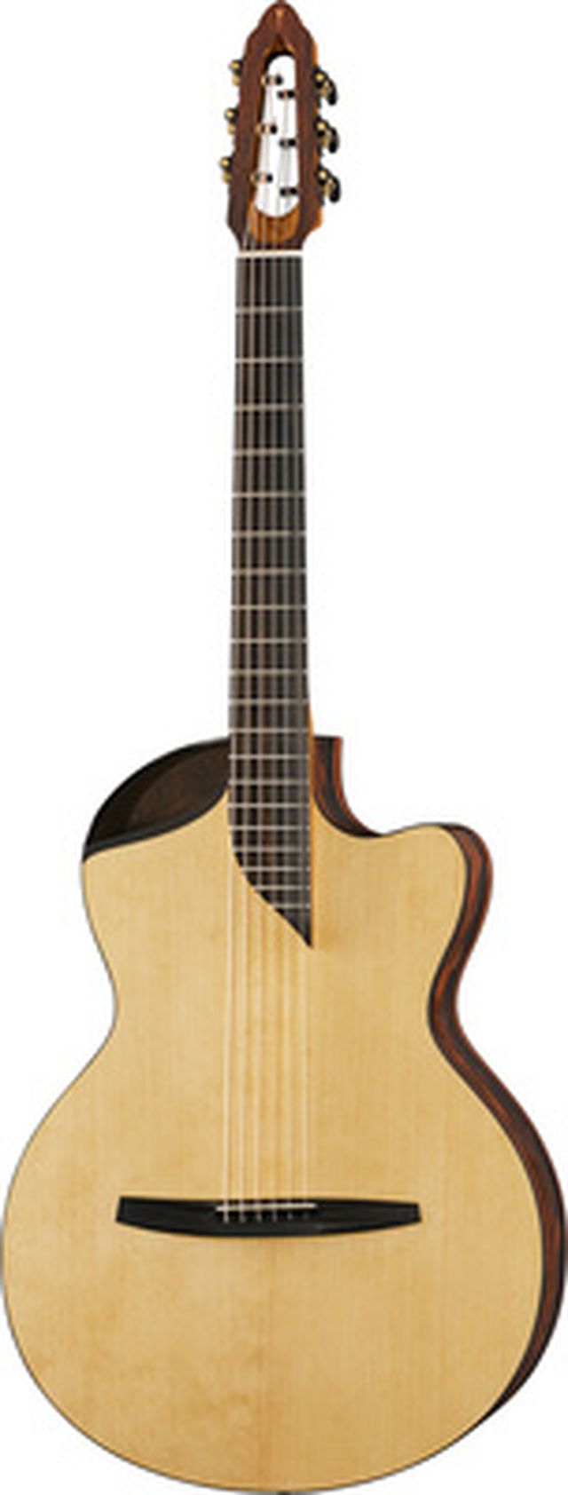 NOVA Guitars Revelator w/PU