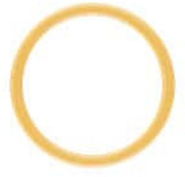 Seetronic SCH-RING-OG