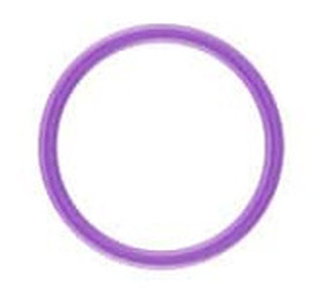 Seetronic SCH-RING-PU