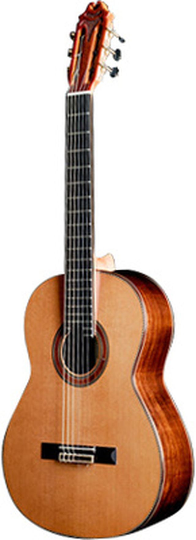 Juan Hernandez Modelo Maestro Especial DbT