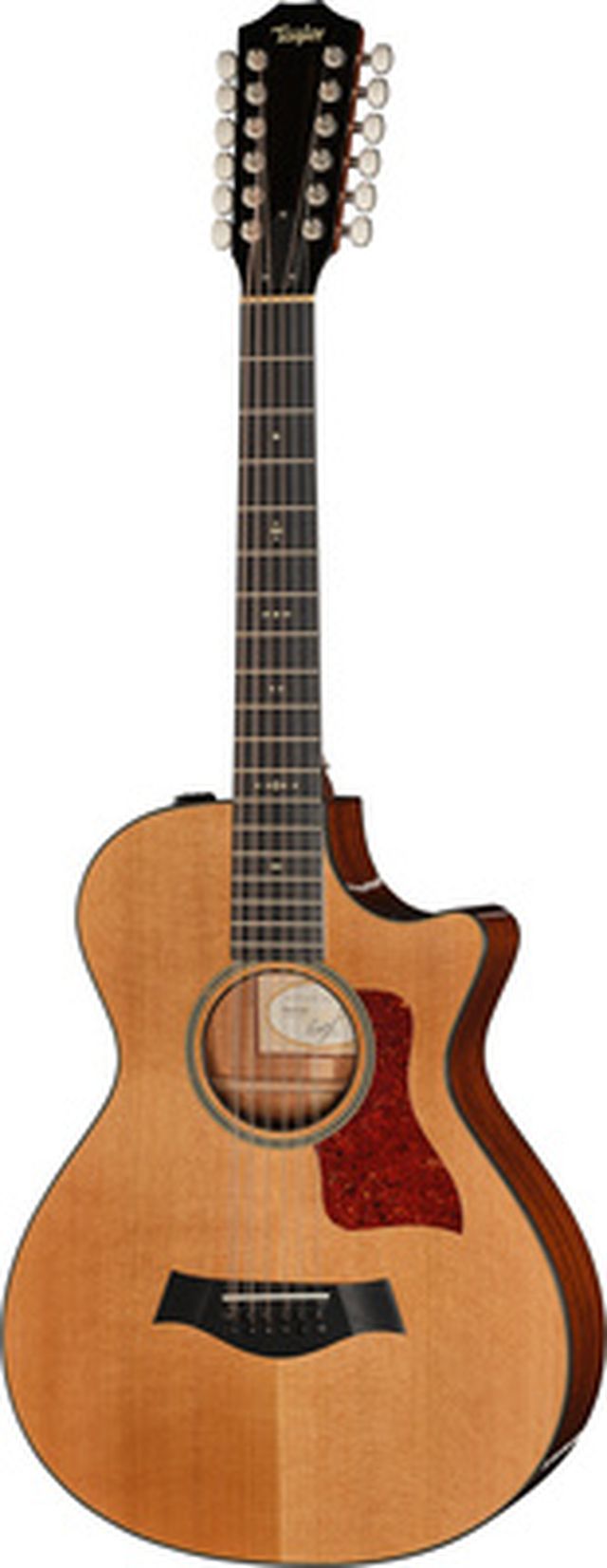 Taylor 552ce