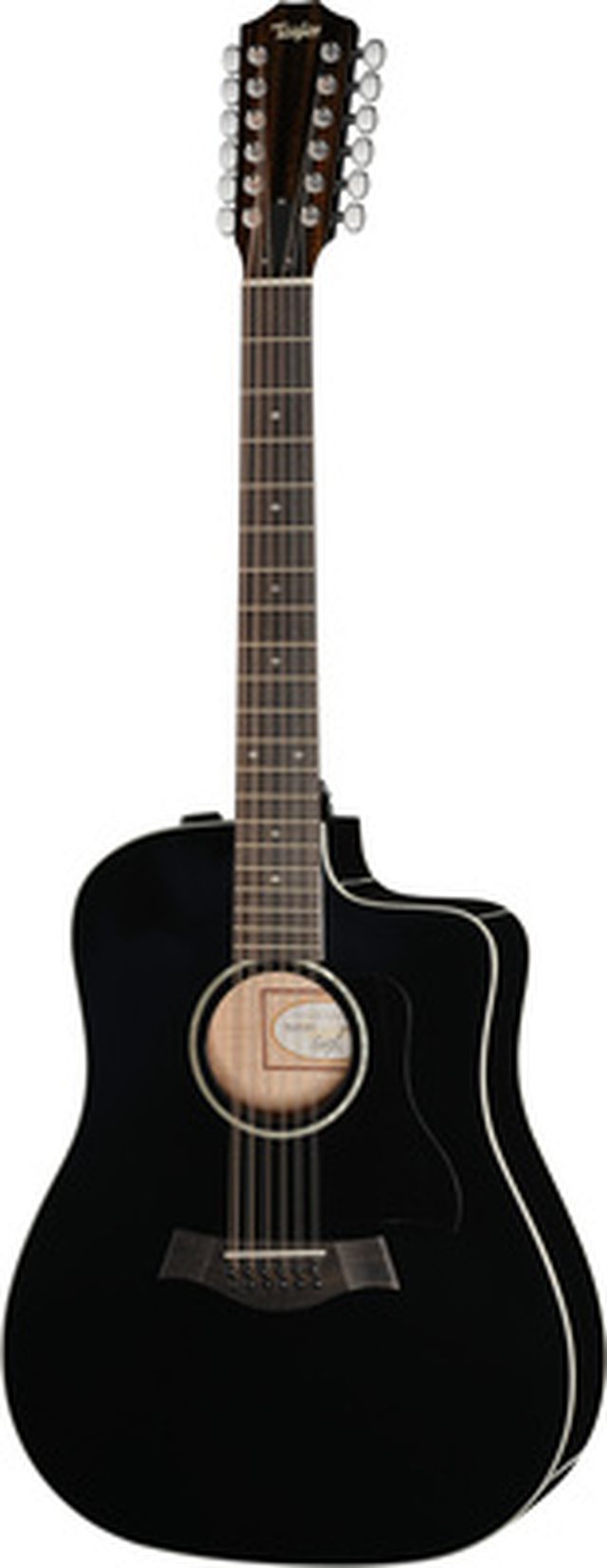 Taylor 250ce-BLK DLX