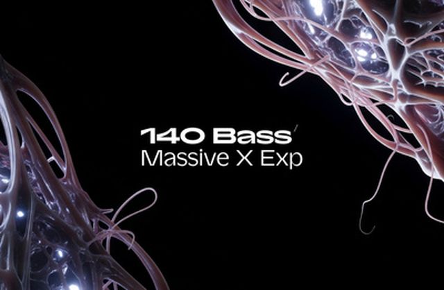Native Instruments 140 Bass