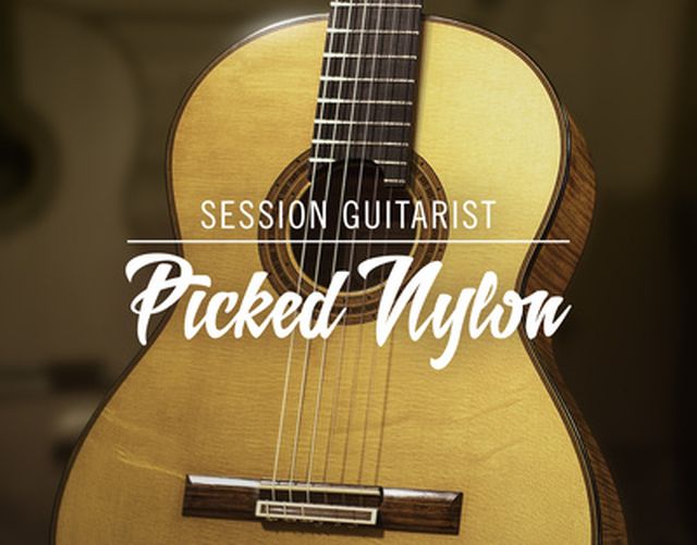 Native Instruments Session Guit. - Picked Nylon
