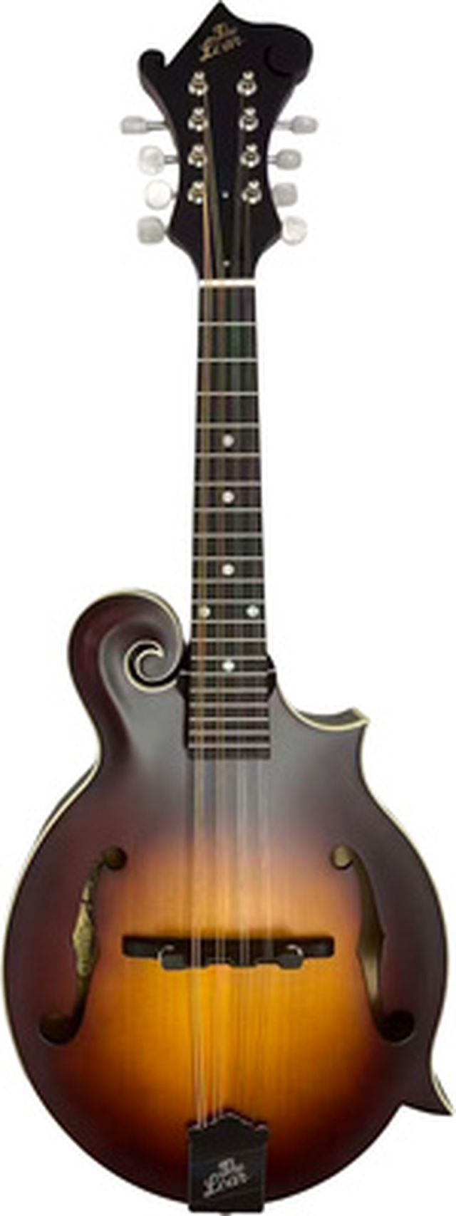 The Loar LM-310E-BRB