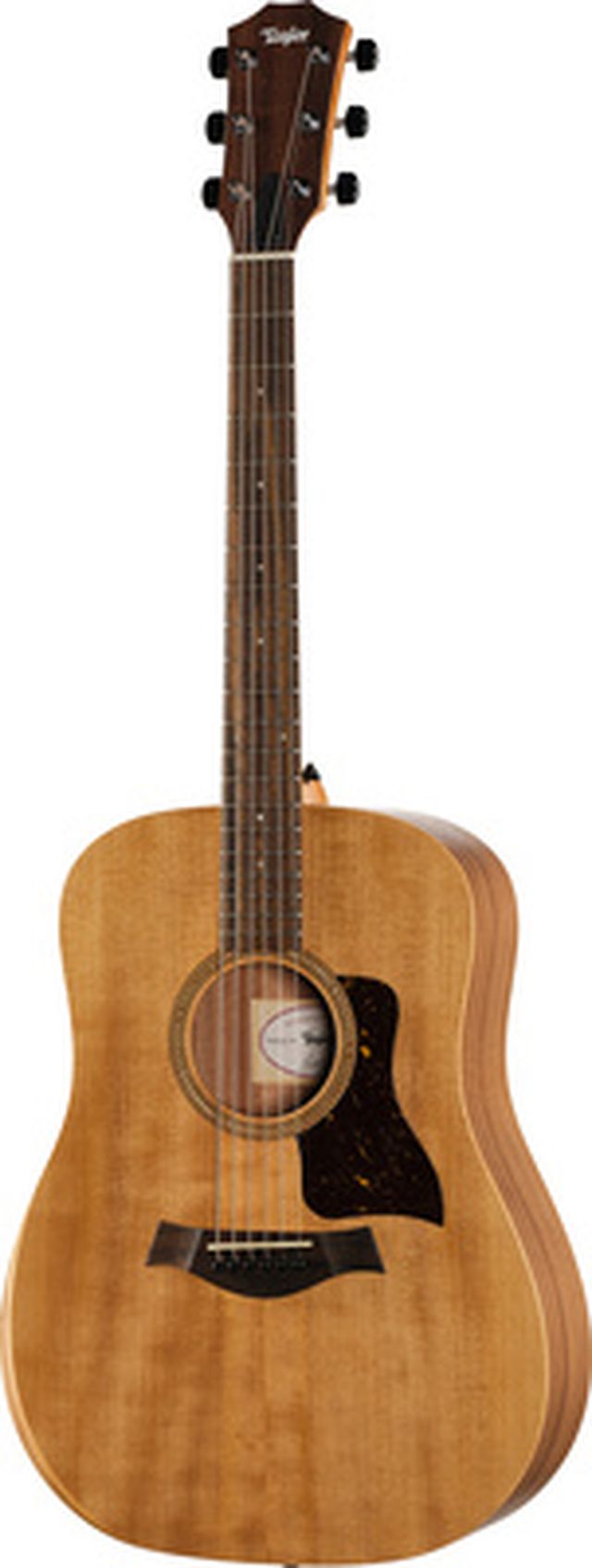 Taylor Academy 10e Walnut/Eucalyptus