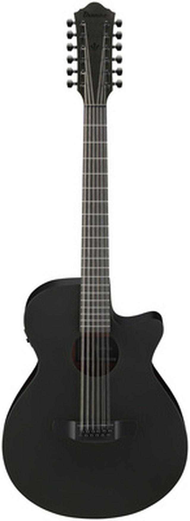 Ibanez AEG1221-BOT