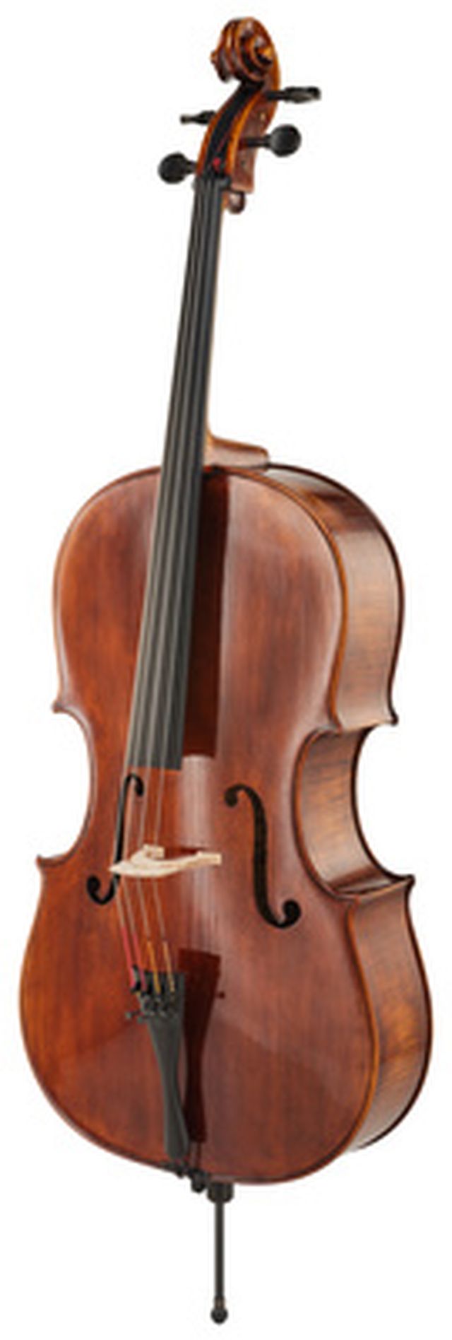 Thomas Stöhr Master Professional Montagnana