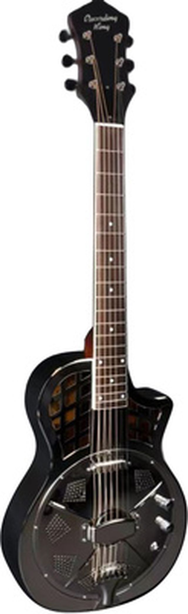 Recording King RM-994E-PN Cutaway