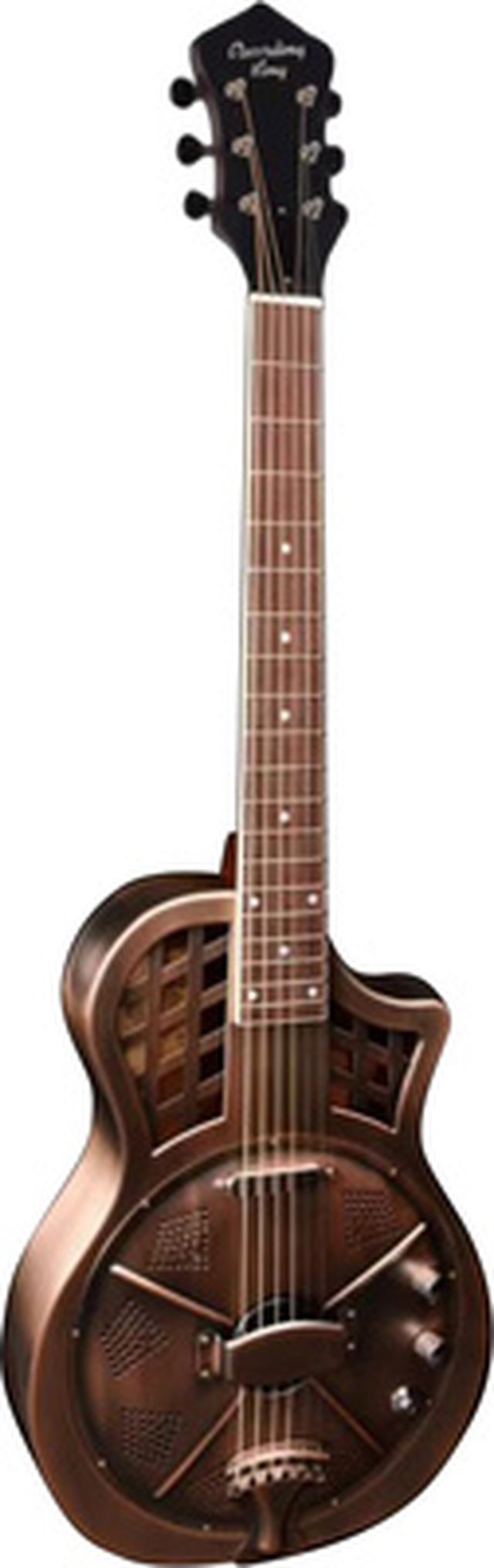 Recording King RM-994E-AC Cutaway