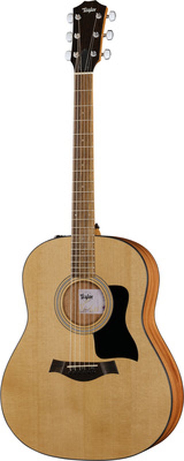 Taylor 117e Grand Pacific Eucalyptus