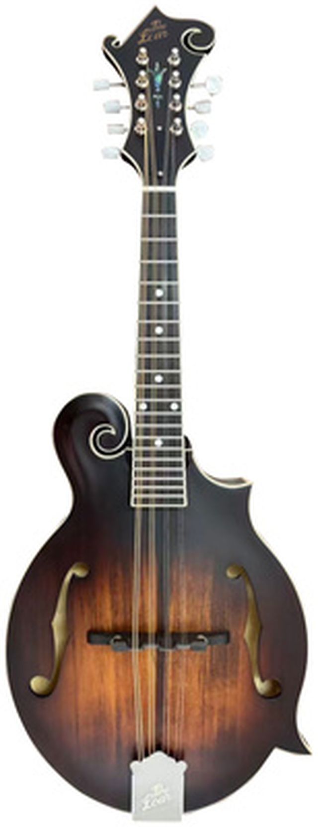 The Loar LM-390 Dark Brown