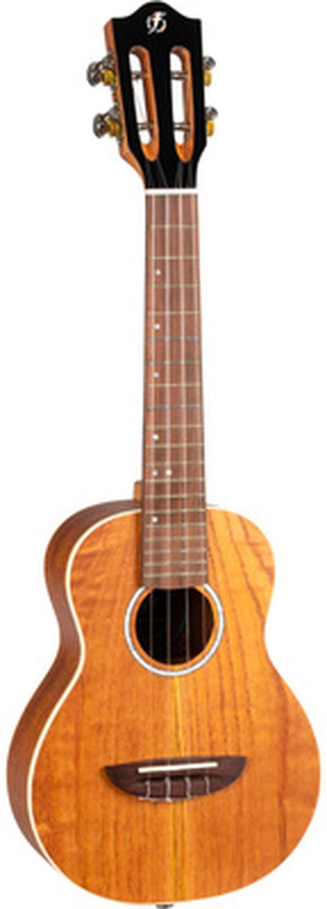 Flight Iris Calantas Concert