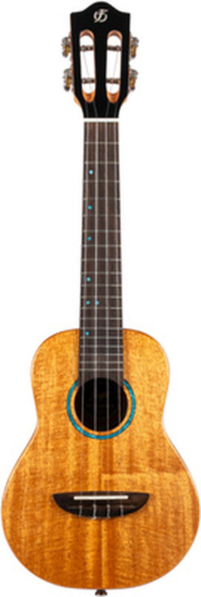 Flight Iris Tinta Concert NA