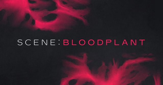 Native Instruments Scene: Bloodplant