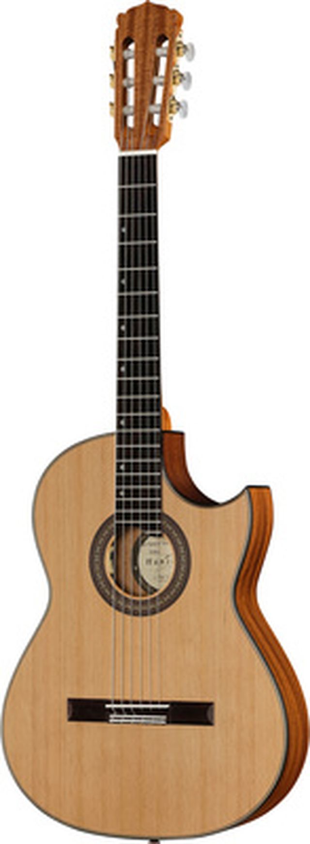 Hanika Thomann Custom Special