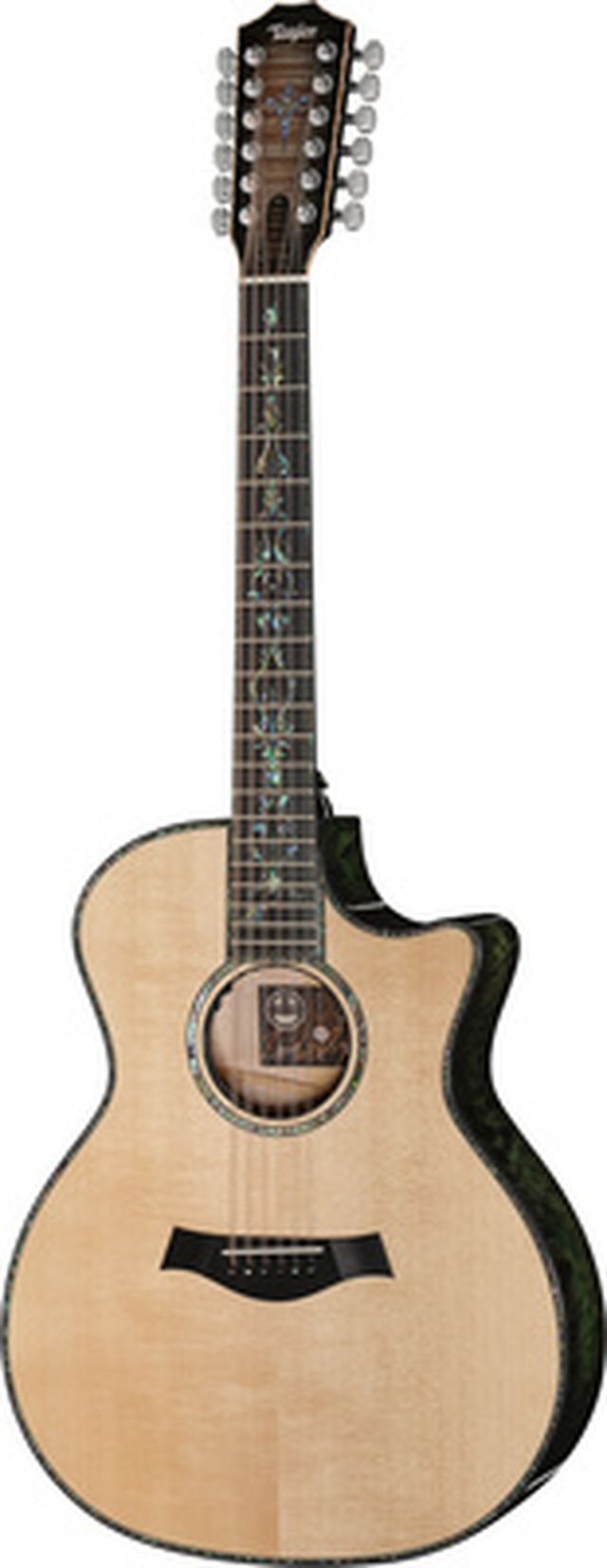 Taylor C54ce B6024 Custom