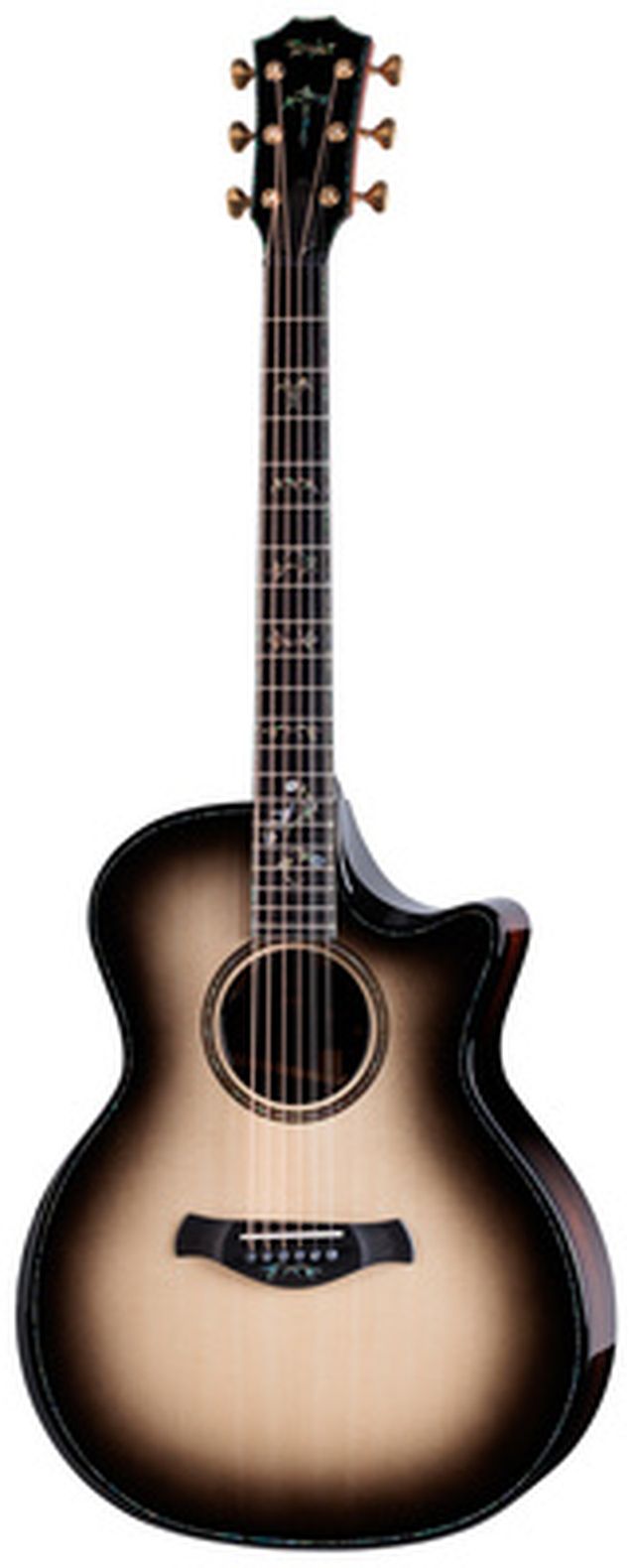 Taylor C14ce B6008 Custom #8