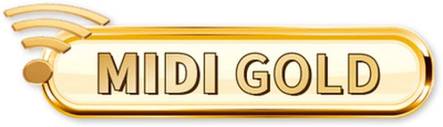 STmusic MIDI Accordion Gold