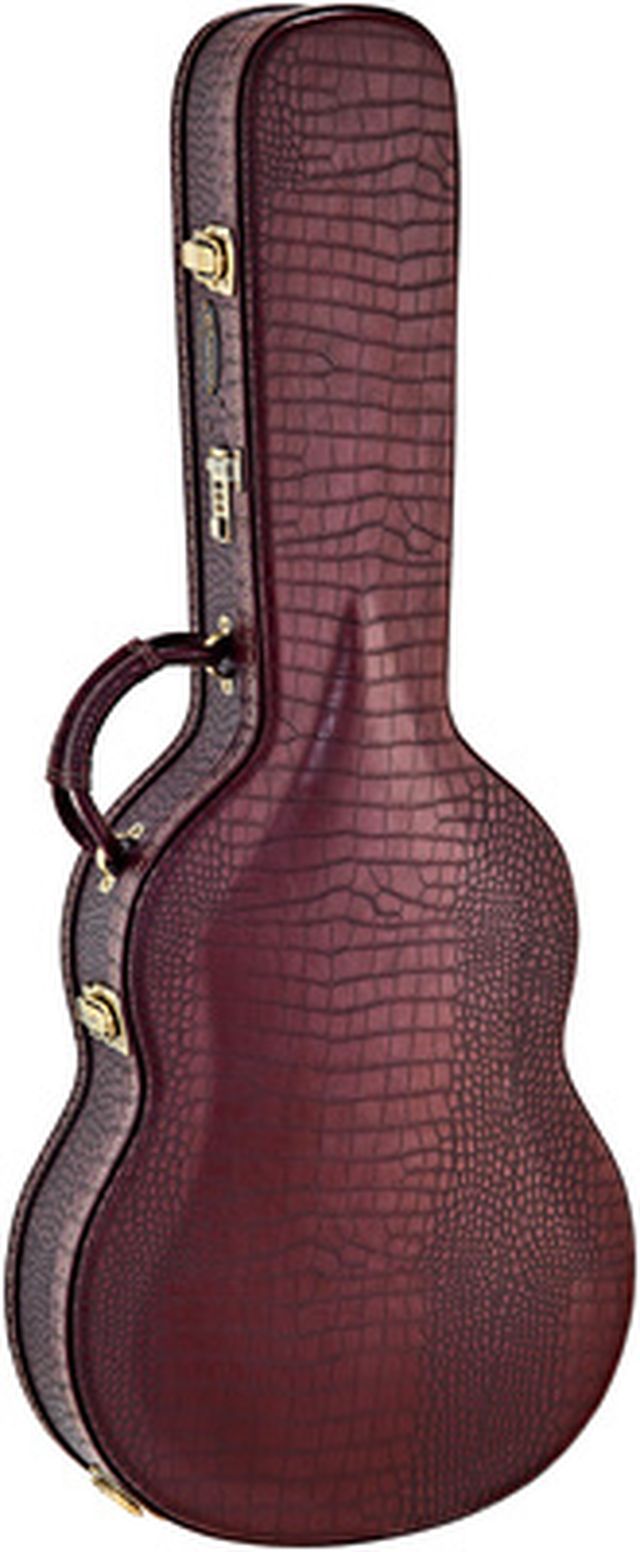 Ortega OCCPRO-T Thinline Case