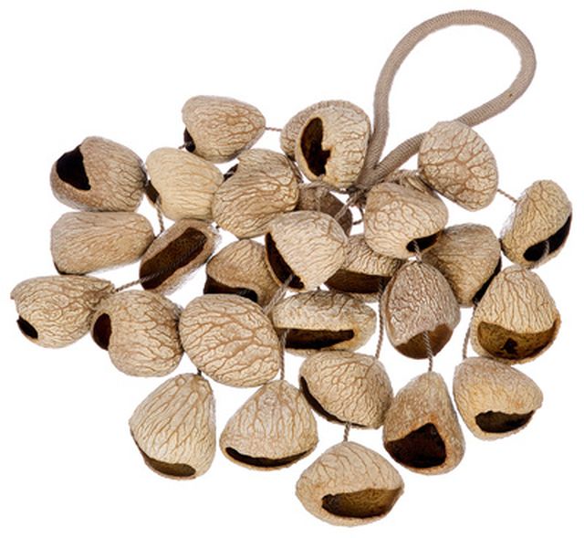Thomann Seed Shaker Pangi