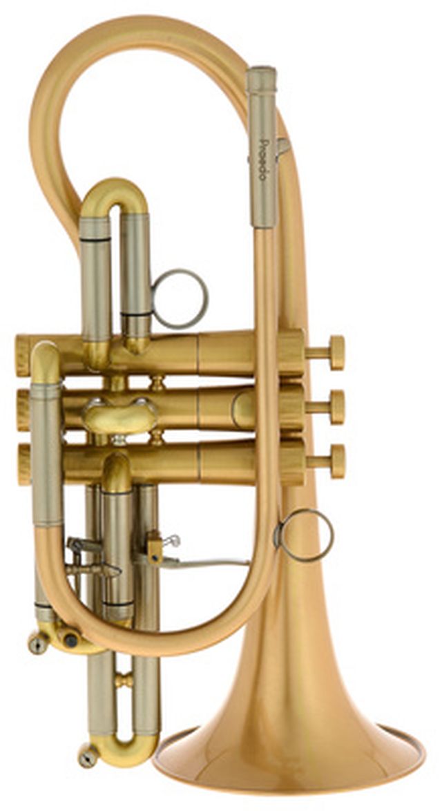 Martin Böhme Praedo Bb-Cornet