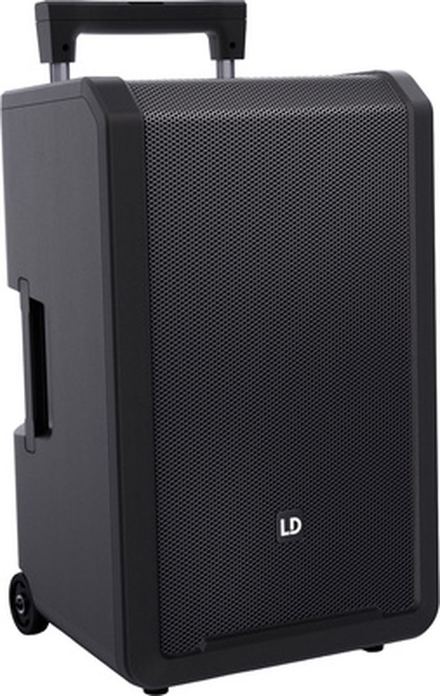LD Systems ANNY 12