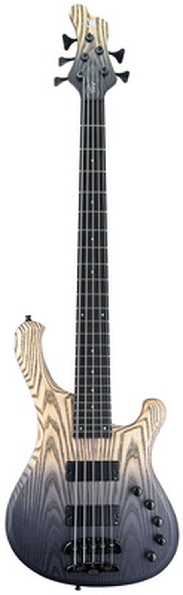 Mayones Guitars Nobleking 5 Black Horizon