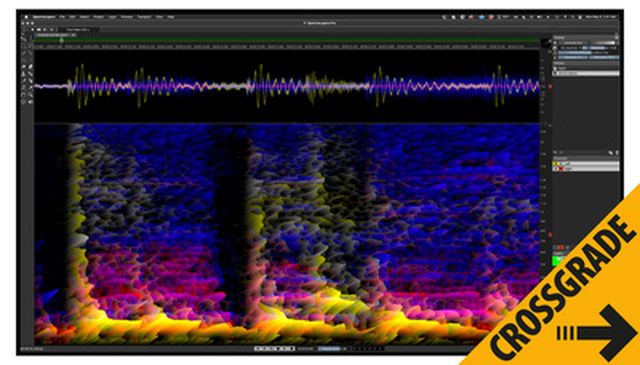 Steinberg SpectraLayers Pro 12 CG
