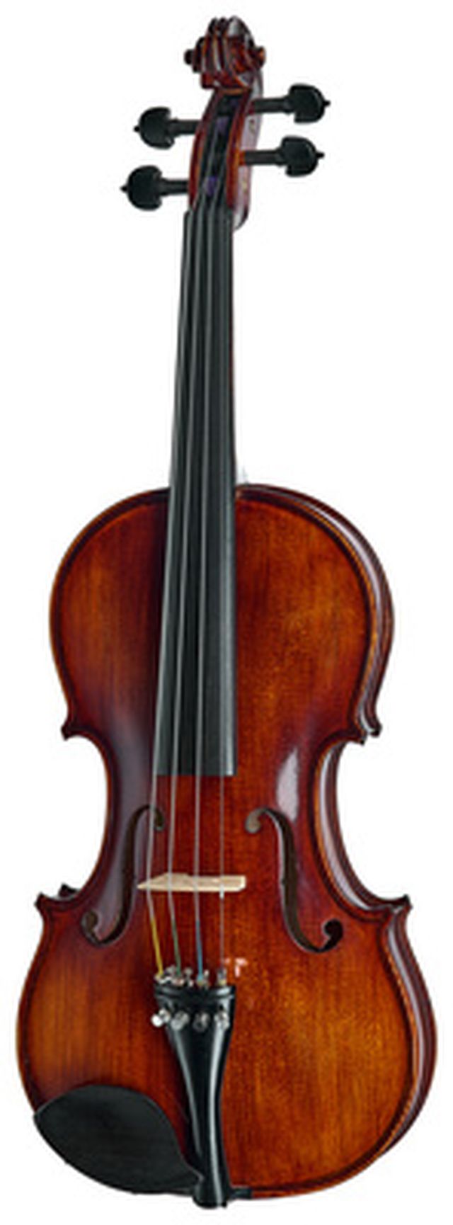 Roth & Junius Bird`s Eye Maple Violin St/E