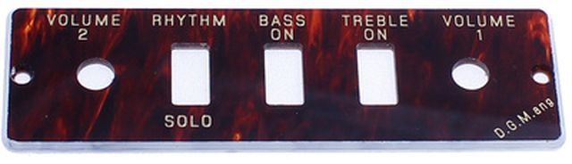 Höfner HA2B-T Tortoloid panel only